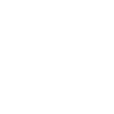 cat-icon