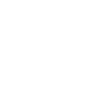cat-icon